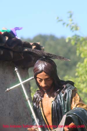 IMG_1810