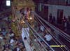SDC10683